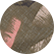 Load image into Gallery viewer, BBQ Shirt - Final Sale
